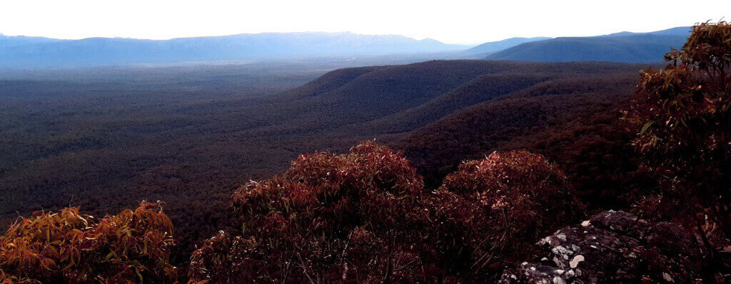 Reed Lookout